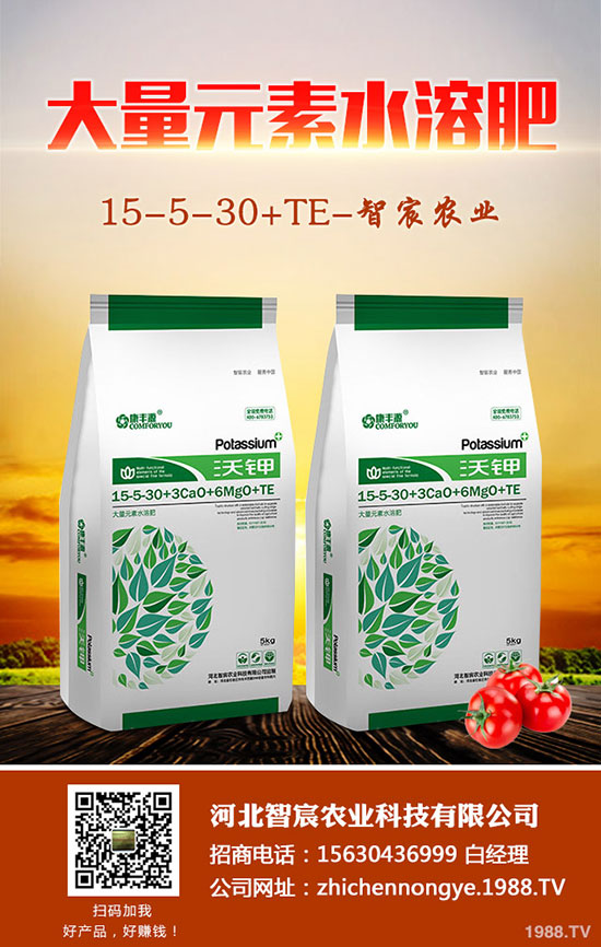 2020��5��15�ս�������(gu��)��(n��i)��(f��)�Ϸʃr(ji��)���߄�(sh��)���������u(p��ng)