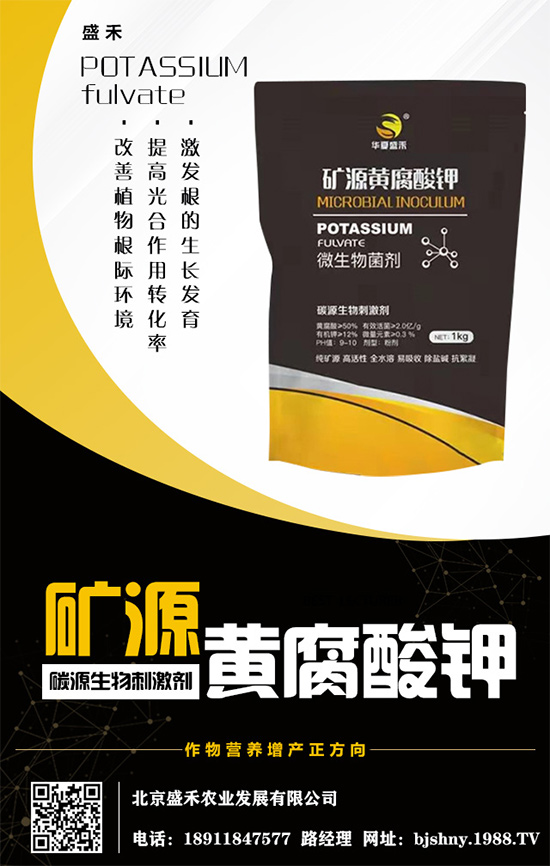     ����⛷�(w��n)���\����2020.05.16⛷ʃr�������߄ݷ�����