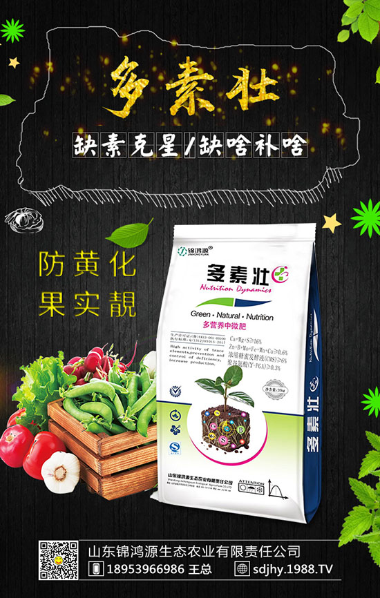 ���������緽������Щ������������Ҫ�c(di��n)�����ڹ�����