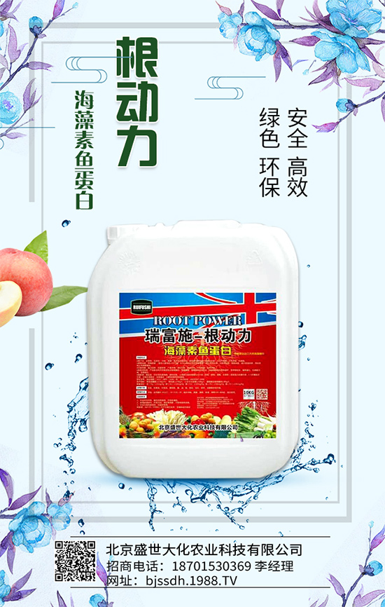 ��֦���L�h(hu��n)��Ҫ������֦��޽ӷ�����ʩ��ԭ�t��