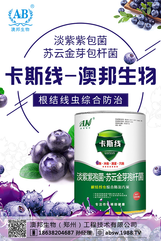 ���ײ��N������������������x�N�����ײ��Nע�����(xi��ng)��