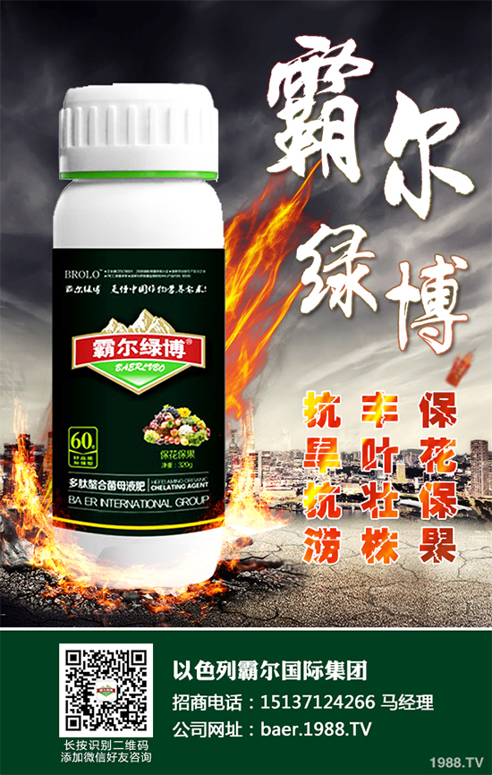 ������ʲô�r(sh��)�򲥷N��2020���������粥�����ă�(y��u)ȱ�c(di��n)����