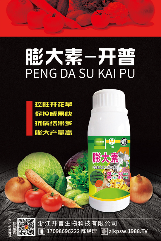 �S���Nֲ�y����������ʲô��Ҷ��f���÷Nֲ�������������