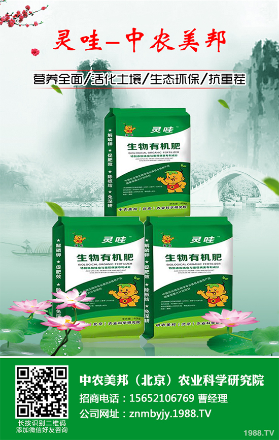 ���᳣Ҋ��������Щ��ԓ����A(y��)�������Ს���İl(f��)���c������