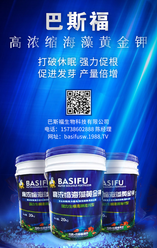 ����ʩ�ʵĸ��ѕr(sh��)�g��ɶ�r(sh��)���� զ��ʩЧ������