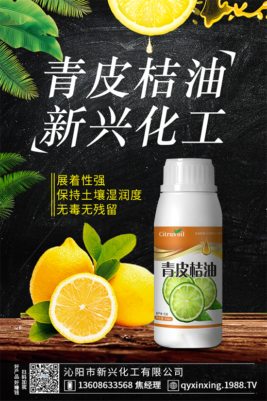 ��������̼���SF-���۶���