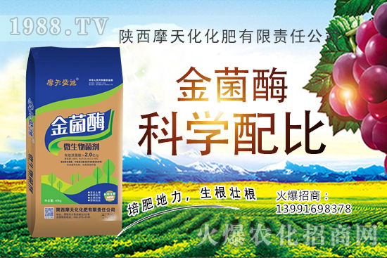 2020�����Nֲǰ����ô���������N�Ӷ����Xһ����