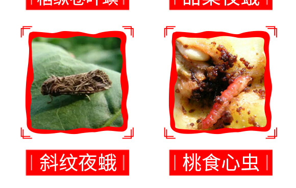 ̩ɭ�x(ch��ng)��-1%�װ������S���ر������}-���G�r(n��ng)_09