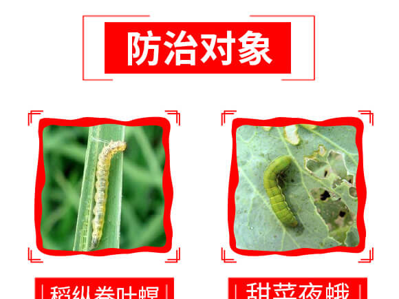 ̩ɭ�x(ch��ng)��-1%�װ������S���ر������}-���G�r(n��ng)_08