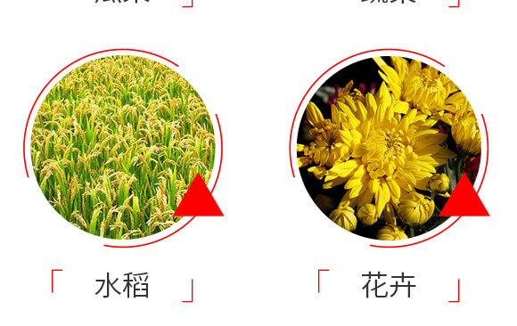 ̩ɭ�x(ch��ng)��-1%�װ������S���ر������}-���G�r(n��ng)_07