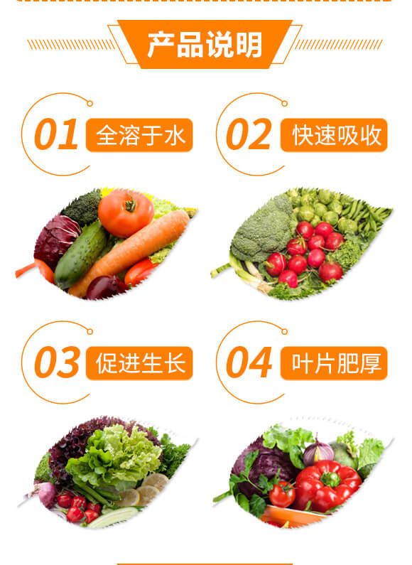 Goofuoˮ�ܷ�19-19-19+TE_03