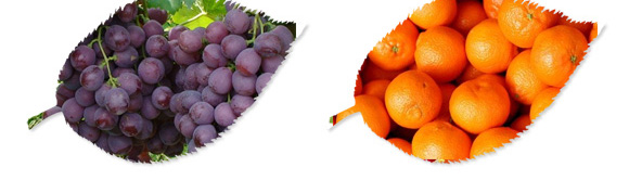 ̼?x��)�˷?�t���T-̼?x��)�?gu��)�H_04