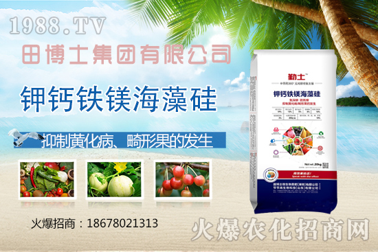 �����ز���a����ЩӰ�����ν�Q�����ز熖�}��