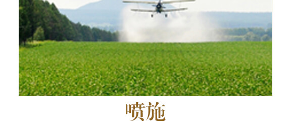 ��ˎ�����߮�(d��ng)�w����-����ֲ��ˮ�ܷ�-�����r(n��ng)��_12