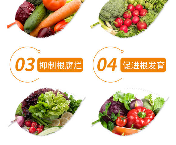 ����Ԫ��ˮ�ܷ���-ϡ�����Ǵ��}-ؐ��(l��)_05