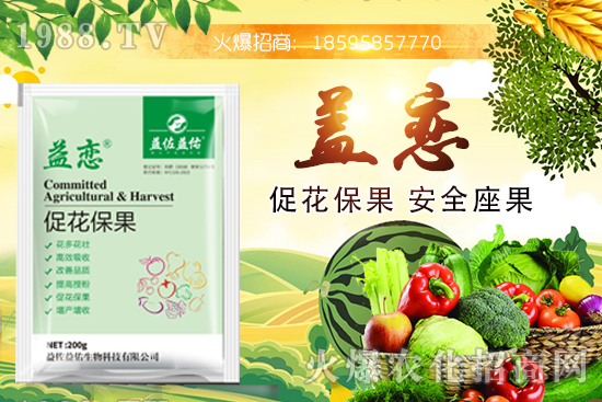 ��֦�ĠI(y��ng)�B(y��ng)�ɷ�����Щ����֦�ܶ�Ԇ��������m����Ⱥ��