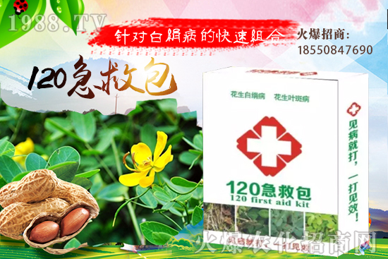 �ȹ����緽������Щ���ȹ���ô���Զ�ֲ��