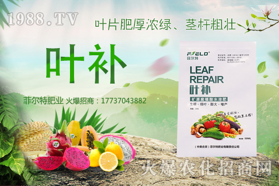 �o�����Nֲǰ����ô�����o�����Nֲ�r(sh��)�g�ͷ�����