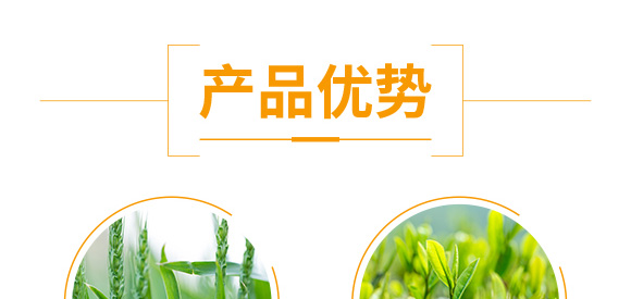 �����ٻ���ᘷ�辄�-��ؔ-�G������_05