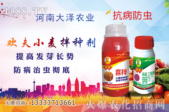 С����N����Ҋ��������Щ������x��С����N����