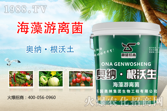 ���ӱ��W�{����Ʒ��(l��i)�u��������������o����ע��I(y��ng)�B(y��ng)�·�����