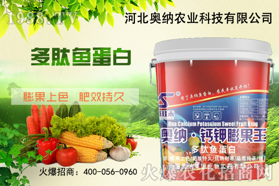 ���ӱ��W�{����Ʒ��(l��i)�u��������������o����ע��I(y��ng)�B(y��ng)�·�����