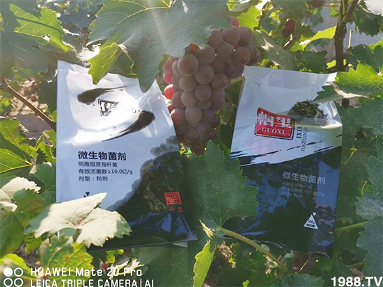 �îa(ch��n)Ʒ����������һ�t���΢������������t���͑��挍������