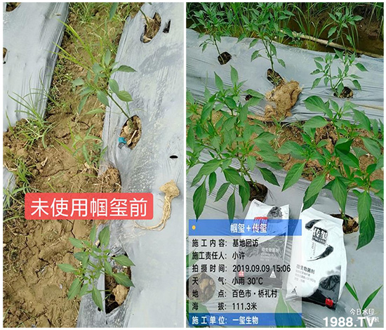 �îa(ch��n)Ʒ����������һ�t���΢������������t���͑��挍������