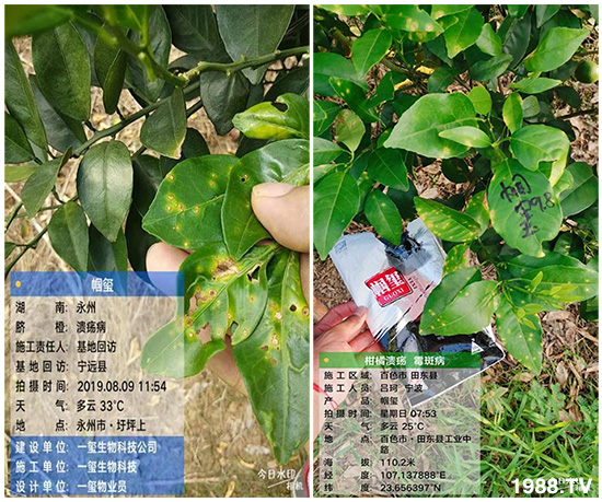 �îa(ch��n)Ʒ�����ã���һ�t���΢������������t���͑��挍������