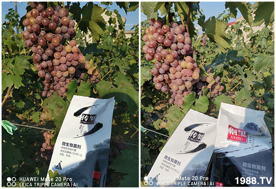 �îa(ch��n)Ʒ����������һ�t���΢������������t���͑��挍������