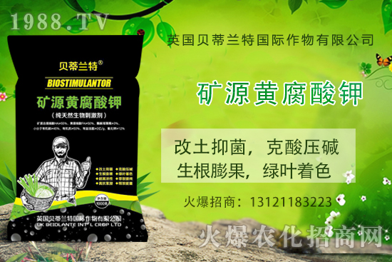 ���ÿ���ô�B(y��ng)�����ÿ��B(y��ng)ֳ������ע�����(xi��ng)��