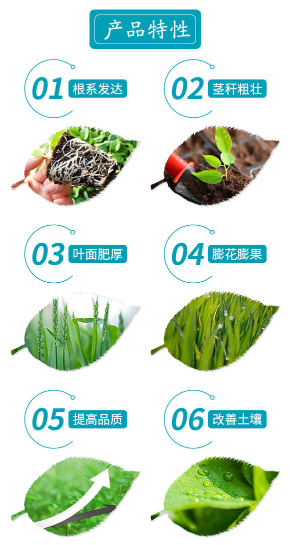 �ЙC(j��)�๦��ˮ�ܷ�-���J��-�����r(n��ng)�I(y��)_03