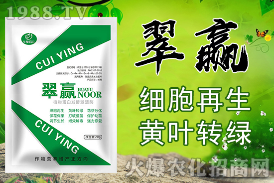 �O���ර������