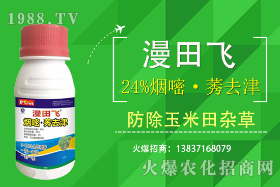 24%���ס�ݬȥ�����Ч���Æ᣿24%���ס�ݬȥ����ʲô���c(di��n)��