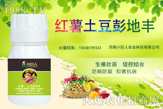 ����С������ô������˾��ʲô��(y��u)�ݣ����Ʈa(ch��n)Ʒ����Щ��