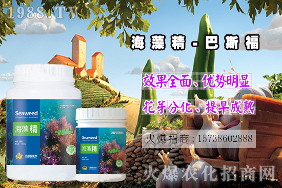  ߀���˽⺣�徫��ɶ����������out�ˣ����徫�����ж����