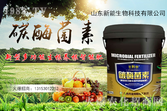 һ�ʶ������ЙC̼+����ø+�����+�I�B(y��ng)Ԫ�أ�̼ø������ʲô������