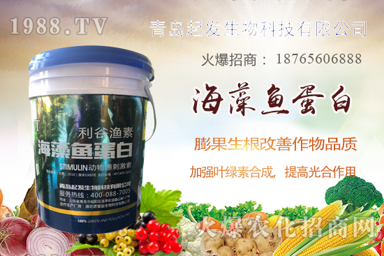 �߲˶�ֲ��ξ�������߲������`�^(q��)����Щ���߲�������������]��