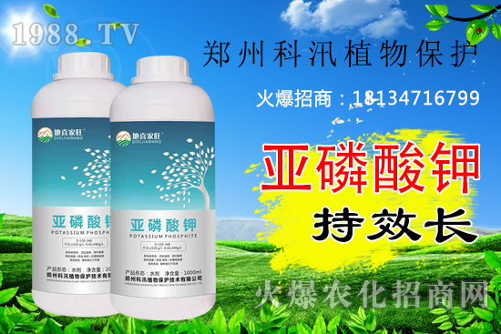 ������⛹�Ч�������C(j��)������Щ������������õĺ������