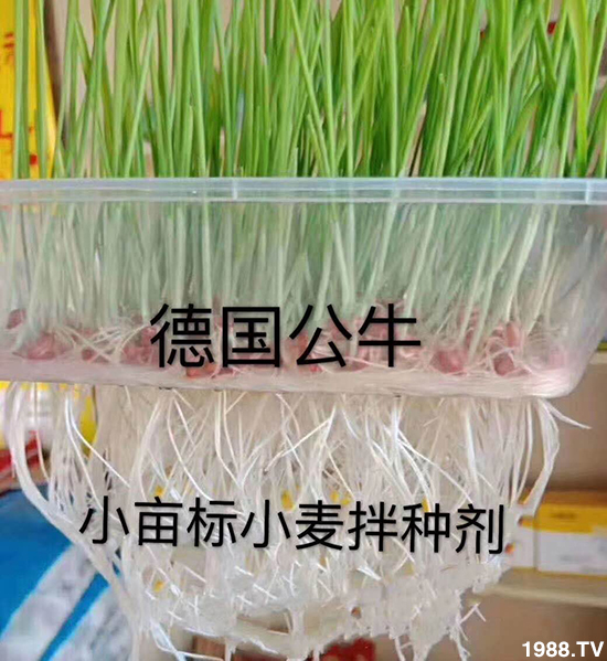 С����N�����a(ch��n)��С����N������x����С����N��Ʒ���x����