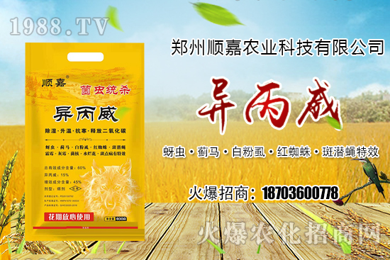 ��Ѹ�r(n��ng)��������һ�������������P��(l��)�ϣ���˪�`+����������