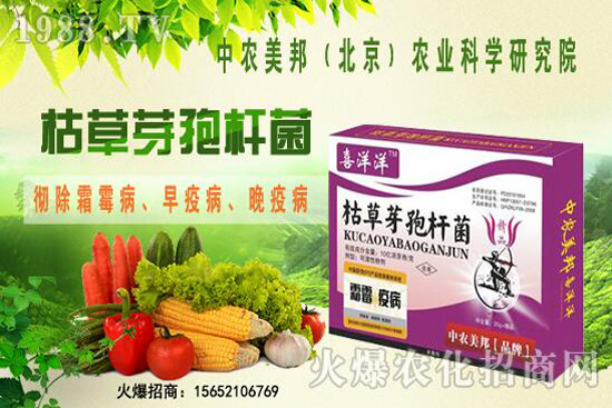 �ݲ�ѿ�ߗU���θ���������������Щ�������������Ό�(du��)������Щ��