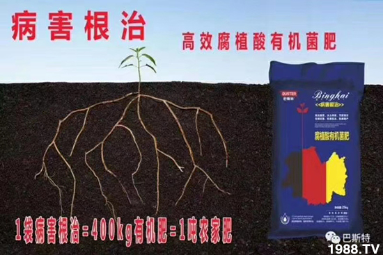     ���׌�Nֲ׃�ø��p����һ��(g��)�ײͣ�ȫ���䷽����˹�ش󽪠I�B(y��ng)�ײͷ�����