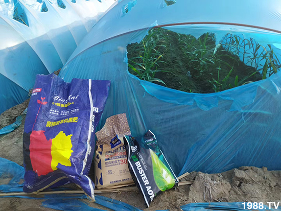     ���׌�Nֲ׃�ø��p����һ��(g��)�ײ���ȫ���䷽����˹�ش󽪠I�B(y��ng)�ײͷ�����