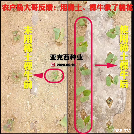     ���׌�Nֲ׃�ø��p����һ��(g��)�ײͣ�ȫ���䷽����˹�ش󽪠I�B(y��ng)�ײͷ�����