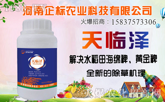 ������������ȷ�������������������݄��Ј�(ch��ng)ͻ��20�|��Ԫ