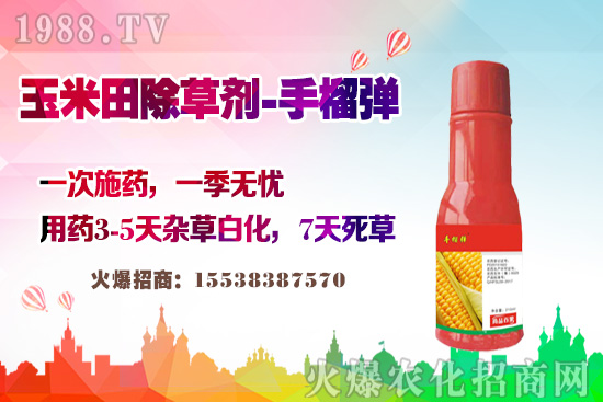 ������������v�������׳��݄��@�Ӵ򣬲��L�s�ݲ�������