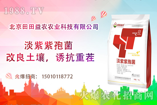 ���t��������c����Щ�����t���ļ���ι�����