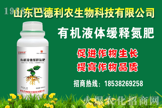 ���������Xһ�����Nֲǰ����Σ����Nֲ�ɱ�������������