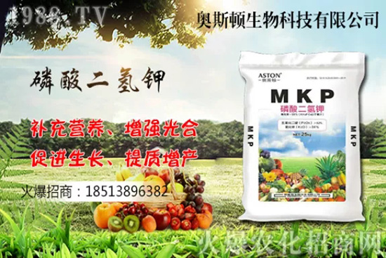 �Ă�Ʒ�N�����Ӹ��ó����҇����Ӯa(ch��n)�ؼ�Ʒ�N����Щ��